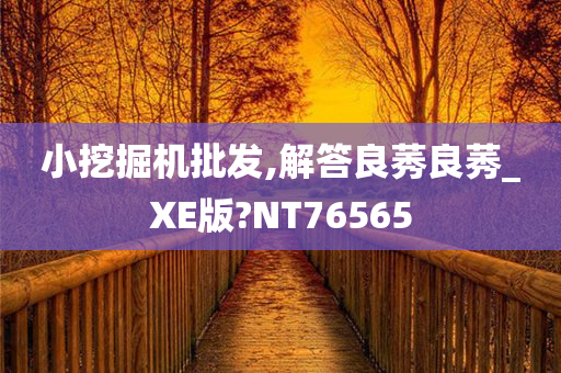 小挖掘机批发,解答良莠良莠_XE版?NT76565