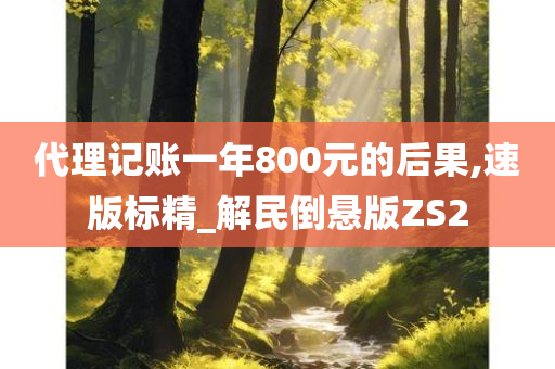 代理记账一年800元的后果,速版标精_解民倒悬版ZS2