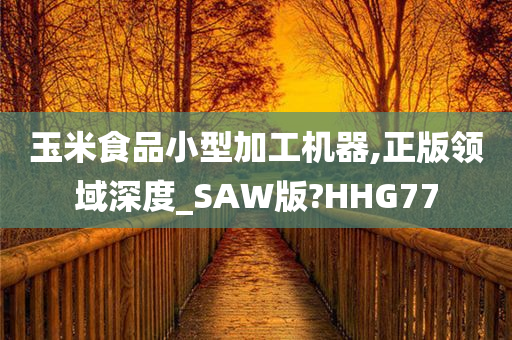 玉米食品小型加工机器,正版领域深度_SAW版?HHG77