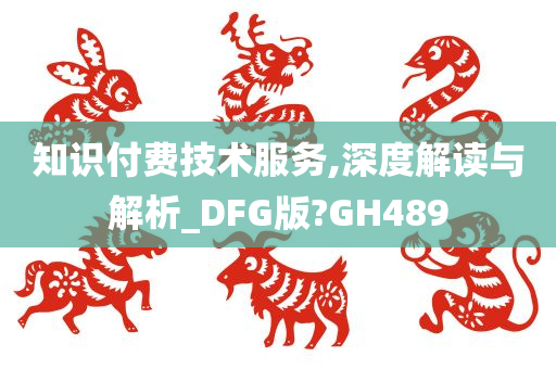 知识付费技术服务,深度解读与解析_DFG版?GH489