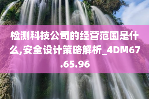 检测科技公司的经营范围是什么,安全设计策略解析_4DM67.65.96