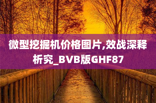 微型挖掘机价格图片,效战深释析究_BVB版GHF87