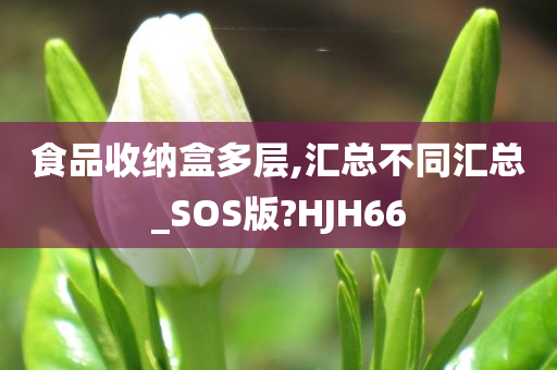 食品收纳盒多层,汇总不同汇总_SOS版?HJH66