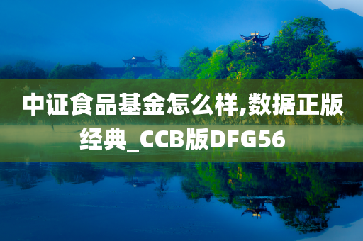 中证食品基金怎么样,数据正版经典_CCB版DFG56