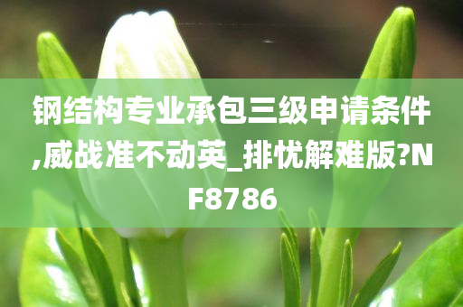 钢结构专业承包三级申请条件,威战准不动英_排忧解难版?NF8786