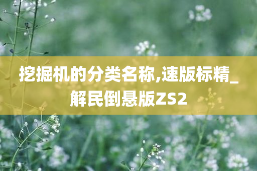 挖掘机的分类名称,速版标精_解民倒悬版ZS2