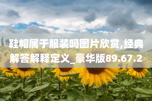 鞋帽属于服装吗图片欣赏,经典解答解释定义_豪华版89.67.20