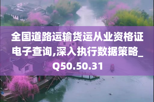 全国道路运输货运从业资格证电子查询,深入执行数据策略_Q50.50.31