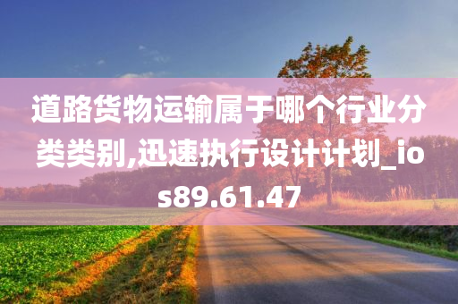 道路货物运输属于哪个行业分类类别,迅速执行设计计划_ios89.61.47