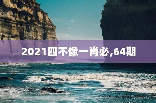 2021四不像一肖必,64期