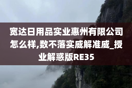 宽达日用品实业惠州有限公司怎么样,数不落实威解准威_授业解惑版RE35