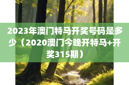 2023年澳门特马开奖号码是多少（2020澳门今晚开特马+开奖315期）