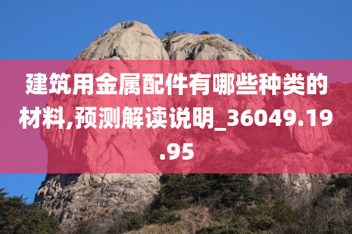 建筑用金属配件有哪些种类的材料,预测解读说明_36049.19.95