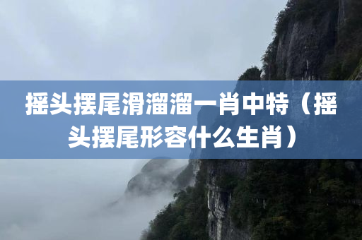 摇头摆尾滑溜溜一肖中特（摇头摆尾形容什么生肖）