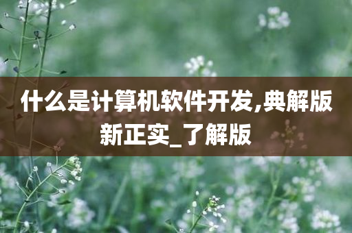 什么是计算机软件开发,典解版新正实_了解版