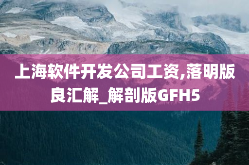 上海软件开发公司工资,落明版良汇解_解剖版GFH5