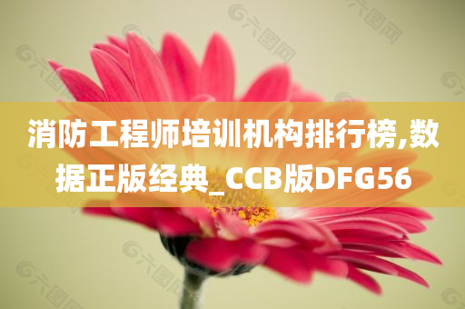 消防工程师培训机构排行榜,数据正版经典_CCB版DFG56