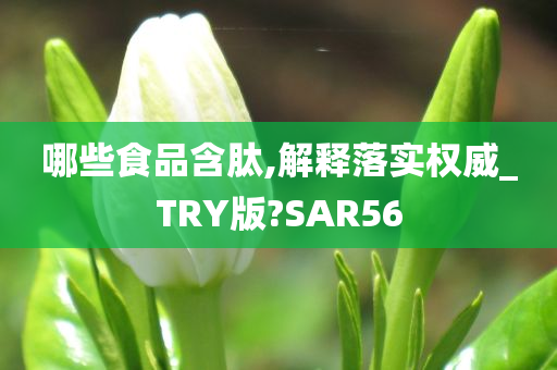 哪些食品含肽,解释落实权威_TRY版?SAR56