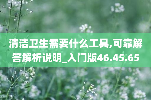 清洁卫生需要什么工具,可靠解答解析说明_入门版46.45.65