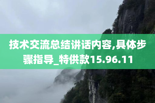 技术交流总结讲话内容,具体步骤指导_特供款15.96.11