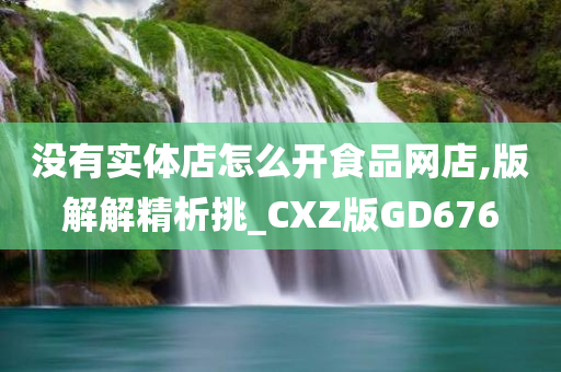 没有实体店怎么开食品网店,版解解精析挑_CXZ版GD676