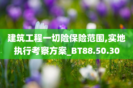 建筑工程一切险保险范围,实地执行考察方案_BT88.50.30