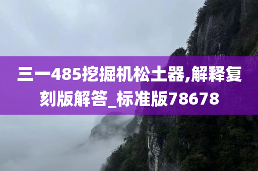 三一485挖掘机松土器,解释复刻版解答_标准版78678