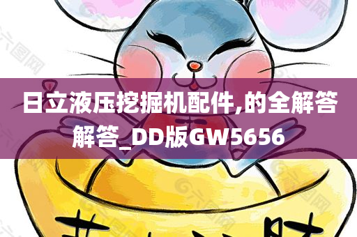 日立液压挖掘机配件,的全解答解答_DD版GW5656