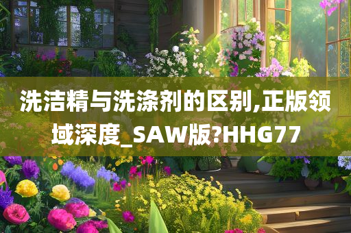 洗洁精与洗涤剂的区别,正版领域深度_SAW版?HHG77