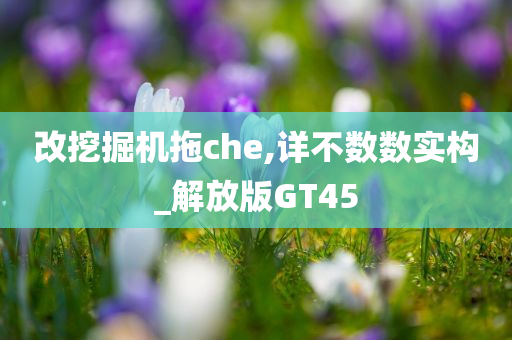 改挖掘机拖che,详不数数实构_解放版GT45