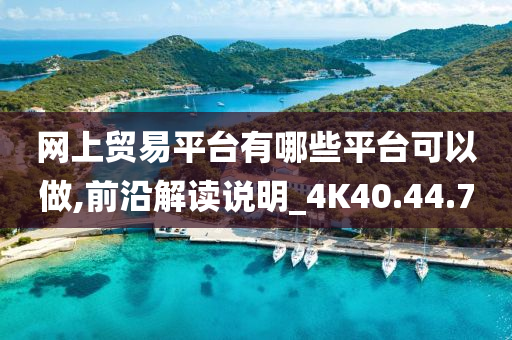 网上贸易平台有哪些平台可以做,前沿解读说明_4K40.44.70