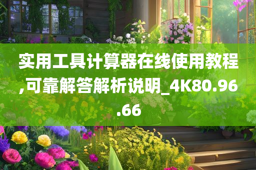 实用工具计算器在线使用教程,可靠解答解析说明_4K80.96.66