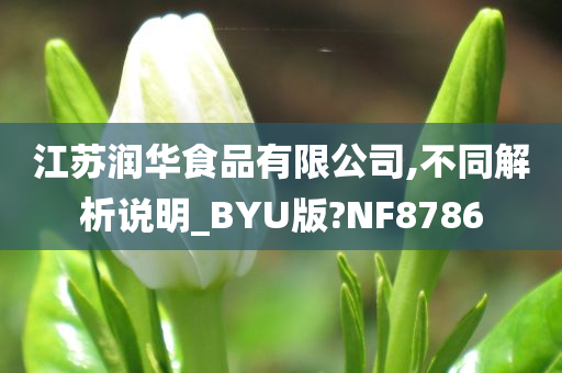 江苏润华食品有限公司,不同解析说明_BYU版?NF8786