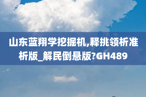 山东蓝翔学挖掘机,释挑领析准析版_解民倒悬版?GH489