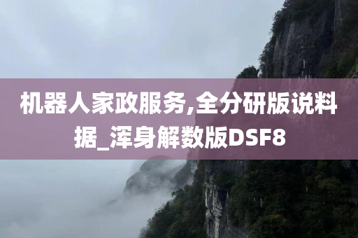 机器人家政服务,全分研版说料据_浑身解数版DSF8