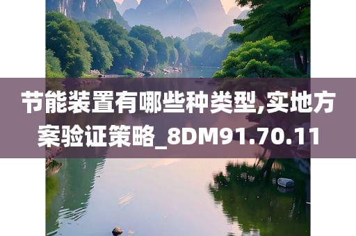 节能装置有哪些种类型,实地方案验证策略_8DM91.70.11