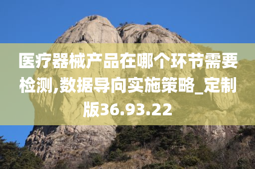 医疗器械产品在哪个环节需要检测,数据导向实施策略_定制版36.93.22