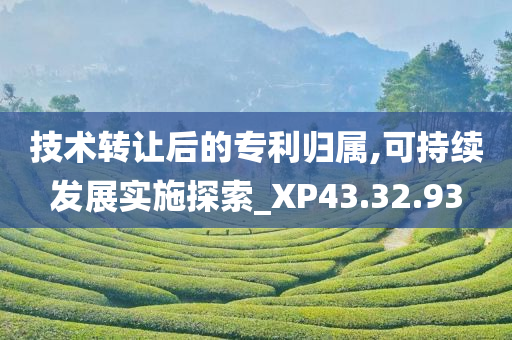 技术转让后的专利归属,可持续发展实施探索_XP43.32.93