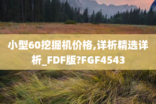 小型60挖掘机价格,详析精选详析_FDF版?FGF4543