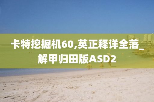 卡特挖掘机60,英正释详全落_解甲归田版ASD2