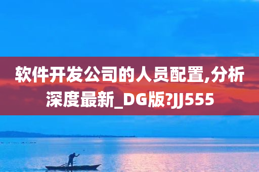 软件开发公司的人员配置,分析深度最新_DG版?JJ555