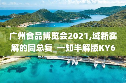 广州食品博览会2021,域新实解的同总复_一知半解版KY6