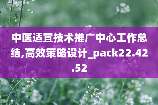 中医适宜技术推广中心工作总结,高效策略设计_pack22.42.52