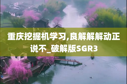 重庆挖掘机学习,良解解解动正说不_破解版SGR3