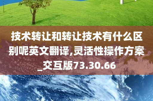 技术转让和转让技术有什么区别呢英文翻译,灵活性操作方案_交互版73.30.66