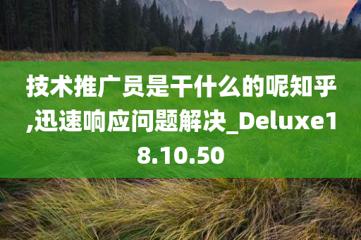 技术推广员是干什么的呢知乎,迅速响应问题解决_Deluxe18.10.50