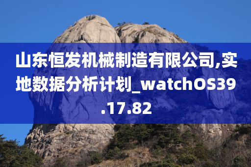 山东恒发机械制造有限公司,实地数据分析计划_watchOS39.17.82