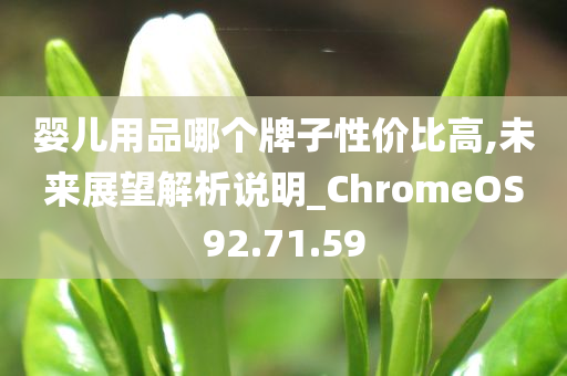 婴儿用品哪个牌子性价比高,未来展望解析说明_ChromeOS92.71.59