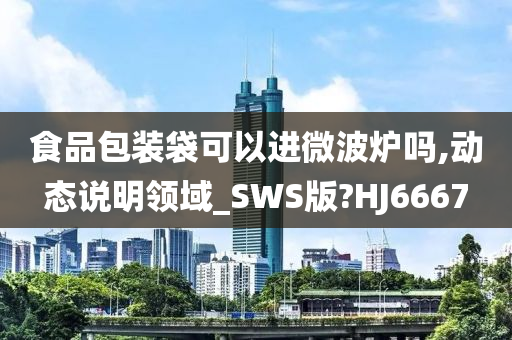 食品包装袋可以进微波炉吗,动态说明领域_SWS版?HJ6667