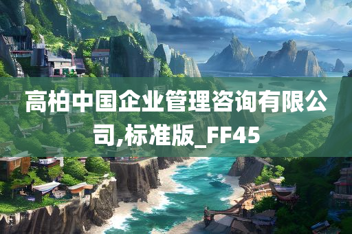 高柏中国企业管理咨询有限公司,标准版_FF45